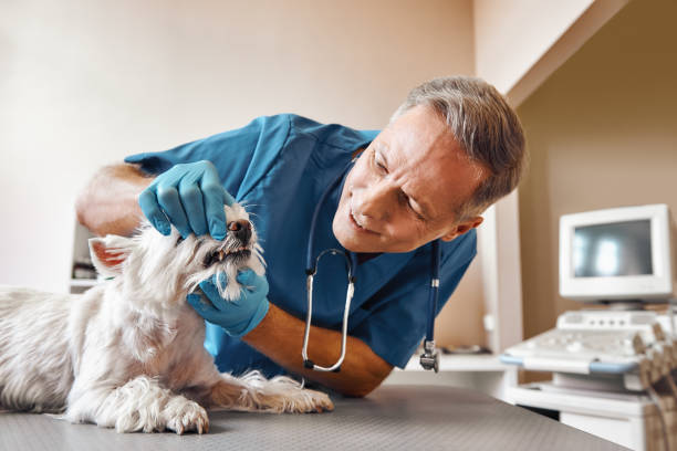 Best Walk-In Emergency Dentist in Wymore, NE